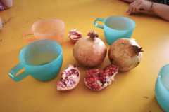 Autunno-in-tutti-i-semsi-015