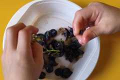 Autunno-in-tutti-i-semsi-019